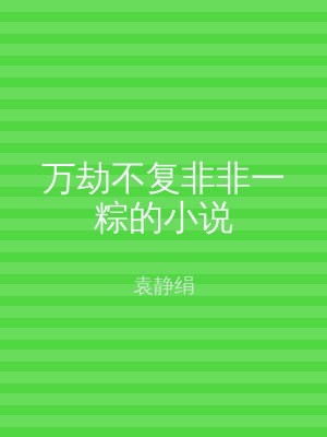 万劫不复非非一粽的小说