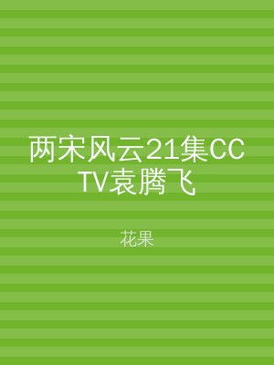 两宋风云21集CCTV袁腾飞