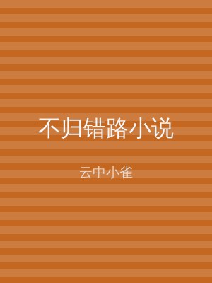 不归错路小说
