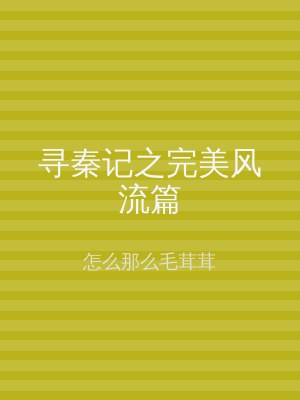 寻秦记之完美风流篇