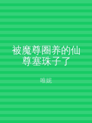 被魔尊圈养的仙尊塞珠子了