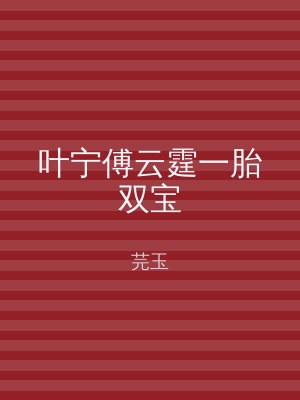 叶宁傅云霆一胎双宝