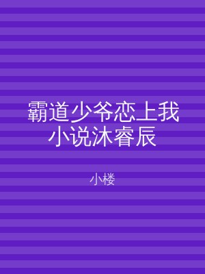 霸道少爷恋上我小说沐睿辰