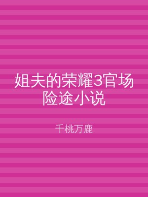 姐夫的荣耀3官场险途小说