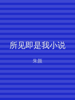 所见即是我小说