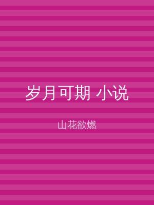 岁月可期 小说