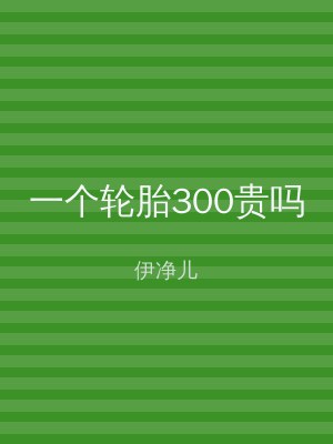 一个轮胎300贵吗