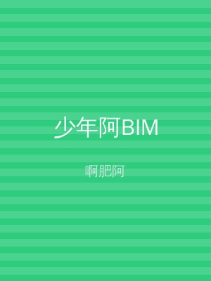 少年阿BIM