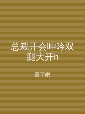 总裁开会呻吟双腿大开h