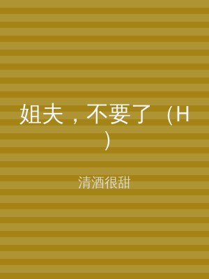 姐夫，不要了（H）