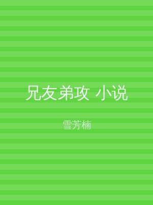 兄友弟攻 小说