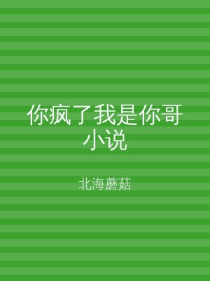你疯了我是你哥小说