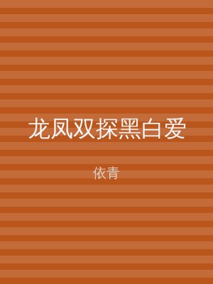 龙凤双探黑白爱