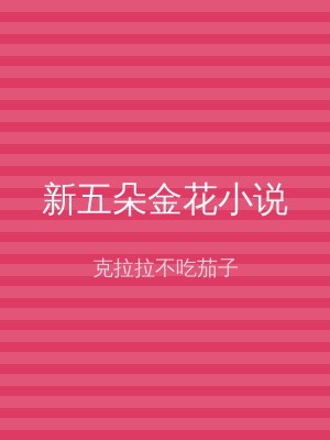 新五朵金花小说