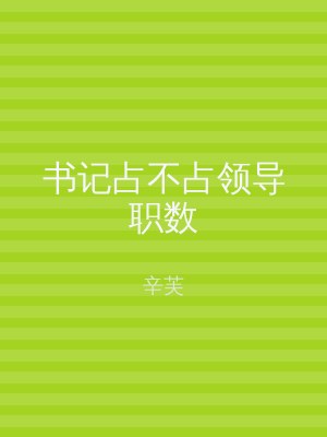 书记占不占领导职数