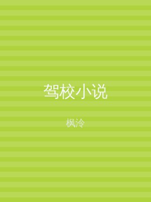 驾校小说