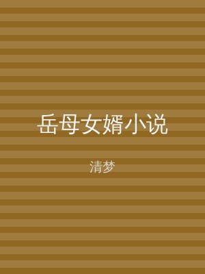 岳母女婿小说