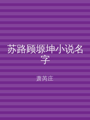 苏路顾塬坤小说名字