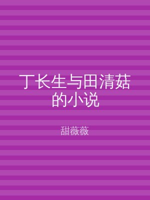 丁长生与田清菇的小说