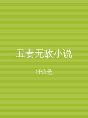 丑妻无敌小说
