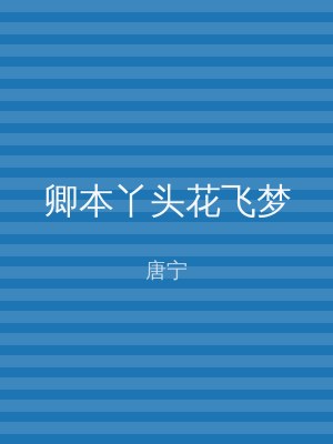 卿本丫头花飞梦