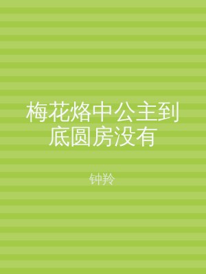 梅花烙中公主到底圆房没有