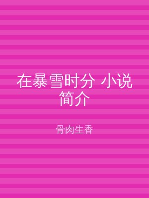 在暴雪时分 小说简介