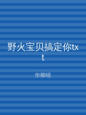 野火宝贝搞定你txt