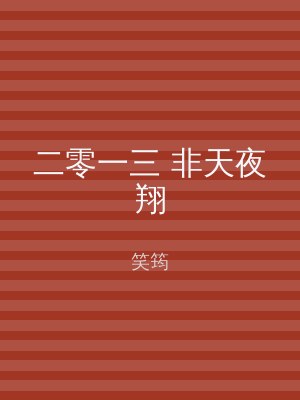二零一三 非天夜翔