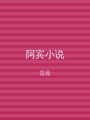 阿宾小说
