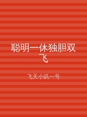 聪明一休独胆双飞