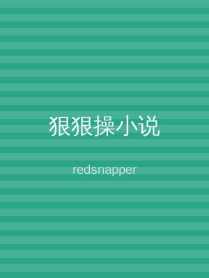 狠狠操小说