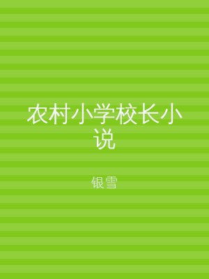 农村小学校长小说