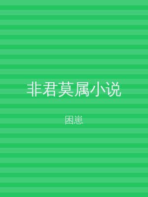 非君莫属小说