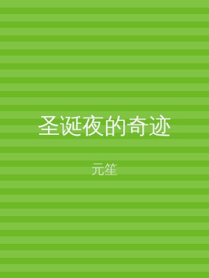 圣诞夜的奇迹