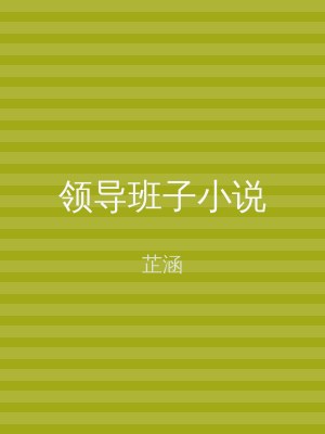 领导班子小说