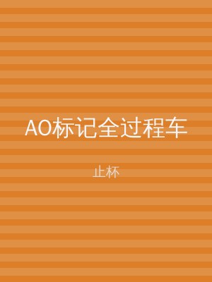 AO标记全过程车