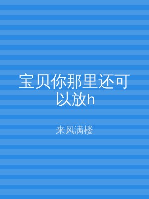 宝贝你那里还可以放h