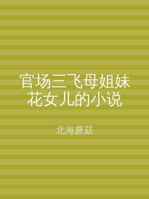 官场三飞母姐妹花女儿的小说