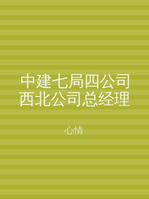 中建七局四公司西北公司总经理