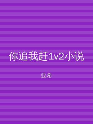你追我赶1v2小说