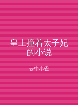 皇上撞着太子妃的小说