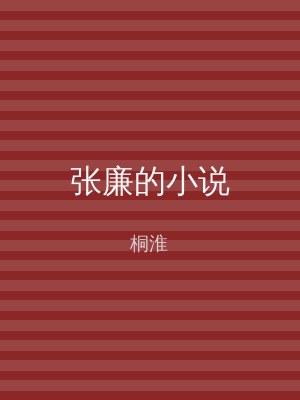 张廉的小说