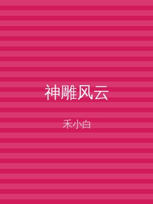 神雕风云