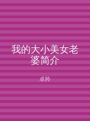 我的大小美女老婆简介