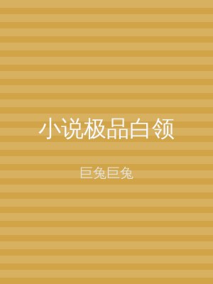 小说极品白领