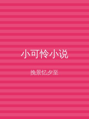 小可怜小说