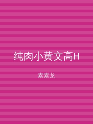纯肉小黄文高H