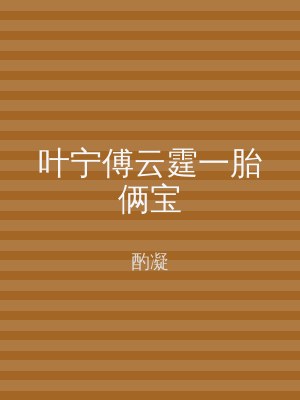 叶宁傅云霆一胎俩宝