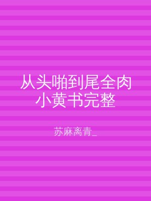 从头啪到尾全肉小黄书完整